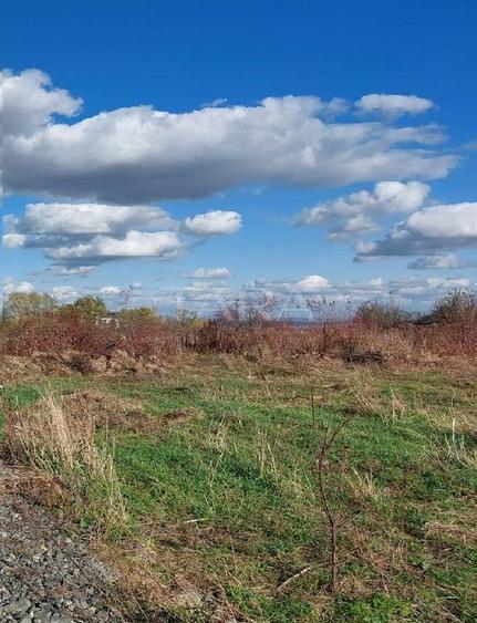 Teren intravilan de vânzare – 1200 mp, Bună Ziua, Cluj-Napoca.