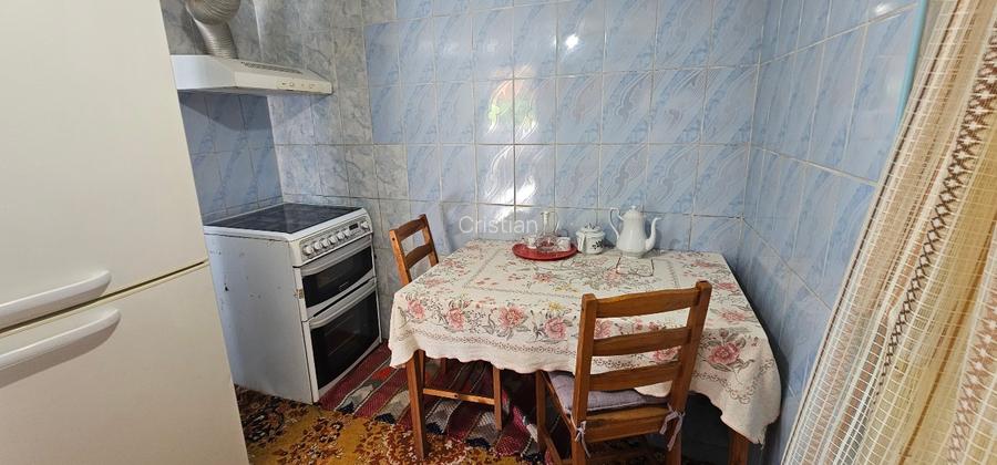 VÂNZARE MOȘIE – Sat Mitrofani, Comuna Mitrofani, jud. Vâlcea - 9