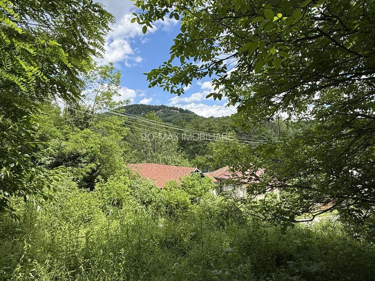 Teren intravilan 1859 mp Plaiu Provita de Sus la asfalt ! - 19