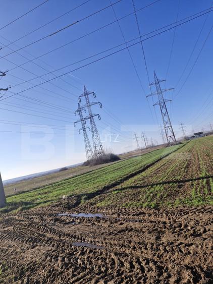 Teren extravilan 5.000 mp | Deschidere 15,79 m | Acces DN7 | Utilități la limită - 3