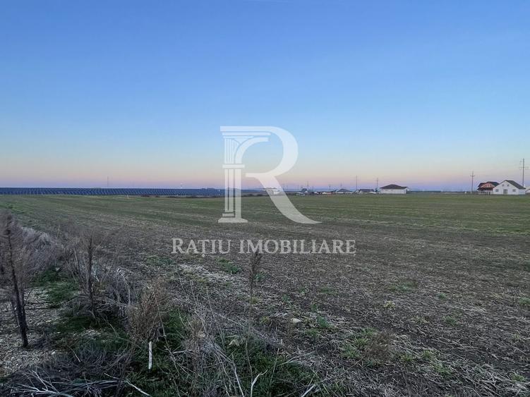Teren intravilan 500 MP | Livada de Bihor | Bihor