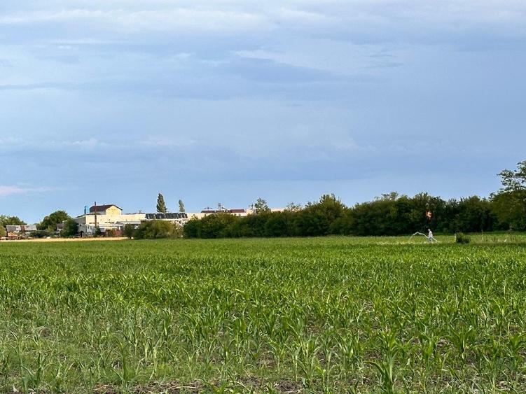 Teren 9.100 mp Răcari | ideal casă, livadă sau investiție | lângă DN71