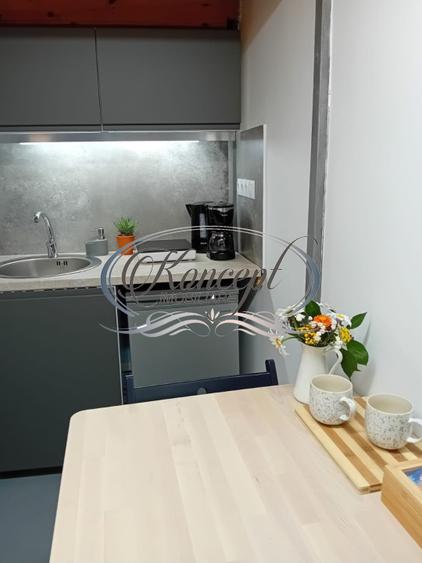 Centru, apartament cu 1 camera de vanzare, autorizat pentru regim hotelier