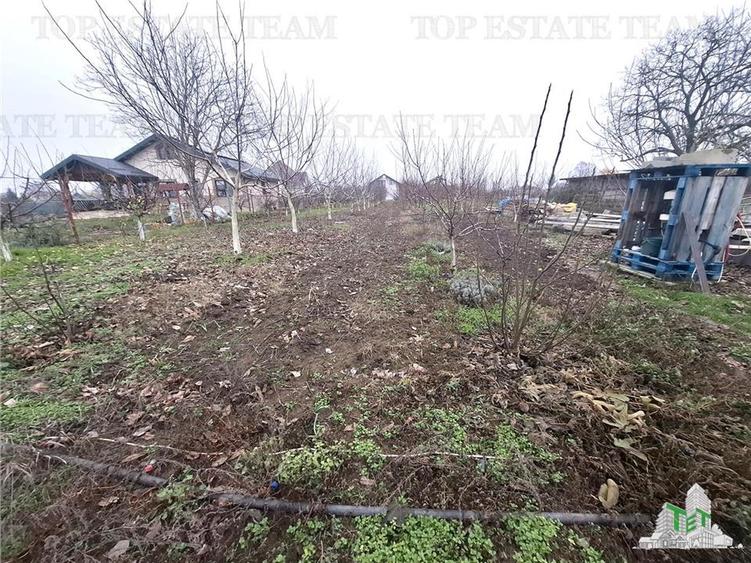 Teren Intravilan Moara Vlasiei 963 mp, Zona Superba,