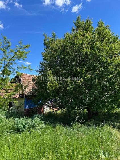 Casa de vanzare l Straja l Teren + Casa 1000 MP l Extravilan 8396 MP