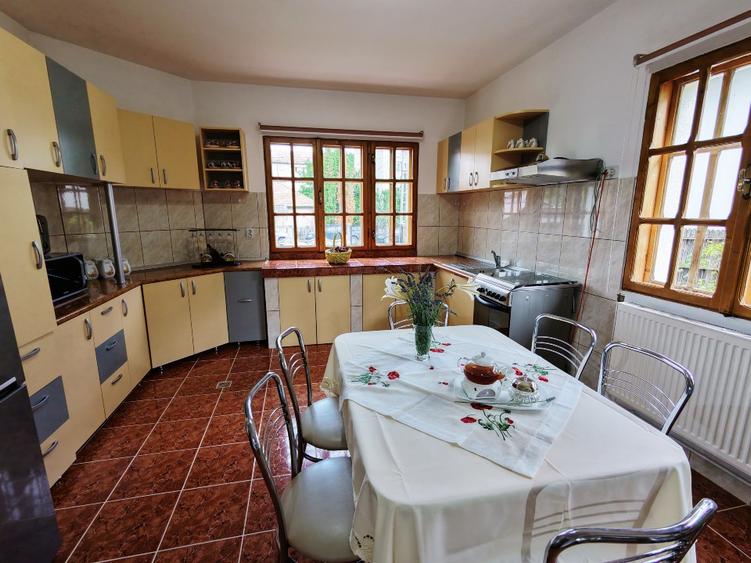 Conac modern cu deal propriu: 399 mp casă, 4828 mp teren
