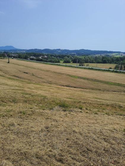 Teren intra si extravilan in Vad, Copalnic-Mănăștur, Maramures