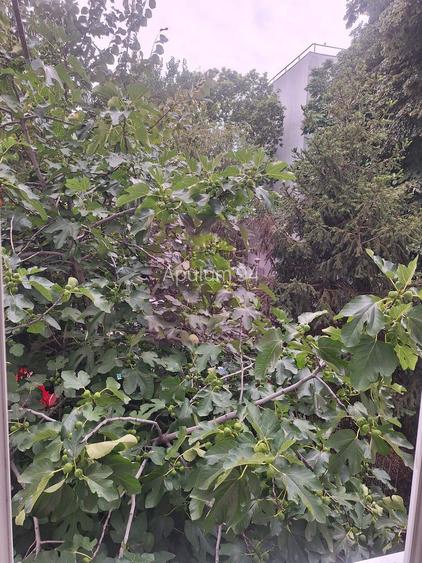 Apartament 2 camere Aviatiei-Herastrau - 3