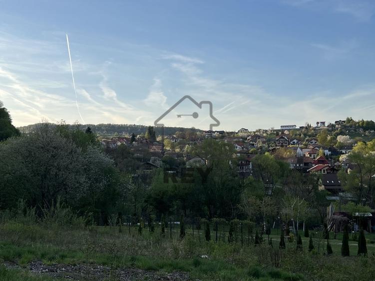 Teren la poalele Cetății Cisnadioarei de vânzare/1250 mp