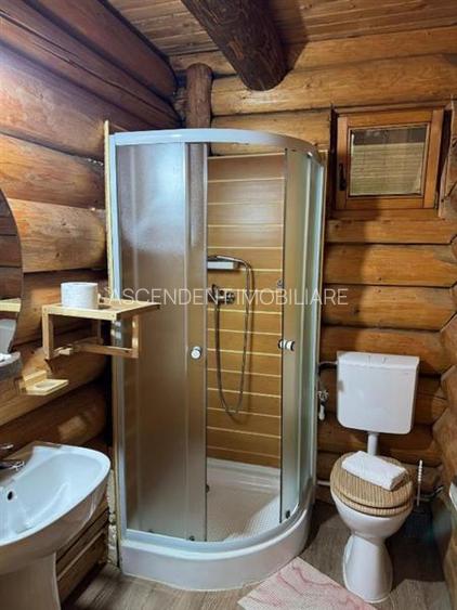 Resedinte montane,mobilate,echipate, jacuzzi,piscina,pretios areal,Sambata de Su - 14
