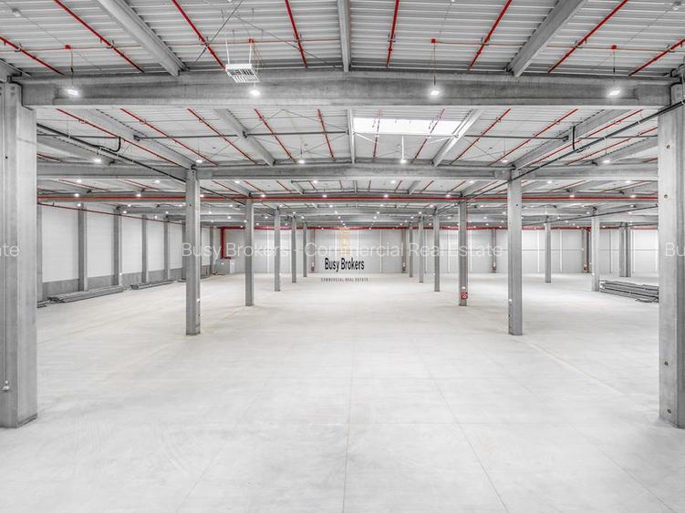 Spatiu Industrial - 6400 mp - Logistica - Depozitare - Distributie - 4
