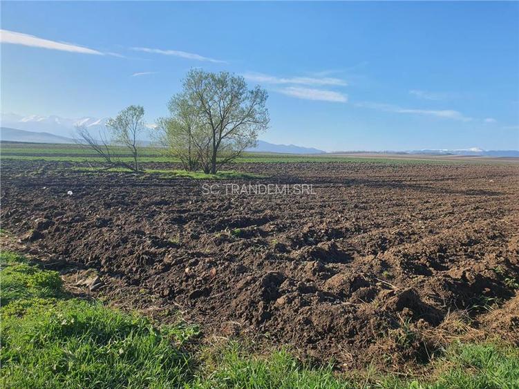 Teren extravilan 4.500- max.18.300mp in comuna Rosia (17 km de Sibiu) - 4