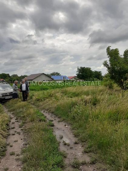 Teren intravilan Fundulea, 2750/25, utilități, ieftin, aproape de balta, 18500 e - 4