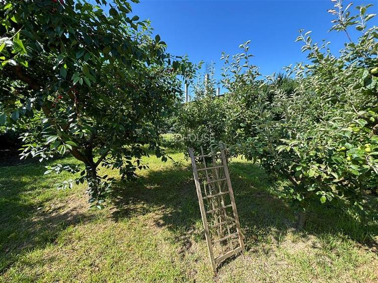 Casa ideala pentru birouri - Str. Prieteniei - 643 mp teren - 5