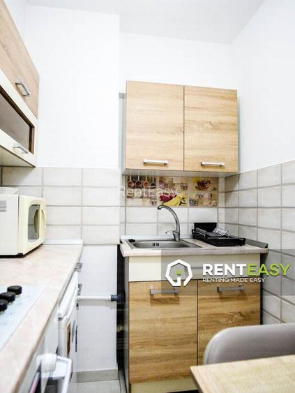 Apartament cu o camera situat in zona Palas - Anastasie Panu - 6