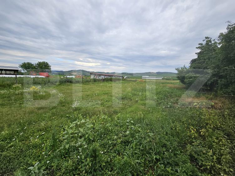 Casă de vanzare, 94 mp, teren intravilan 2.698 mp, Cisteiu de Mureș