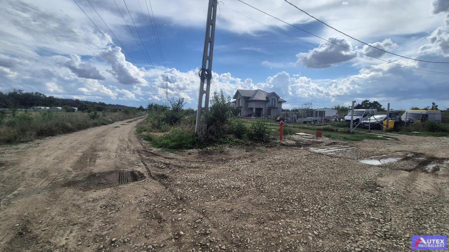 Teren Casa 800 mp in Magurele la 2 Pasi de Bucuresti