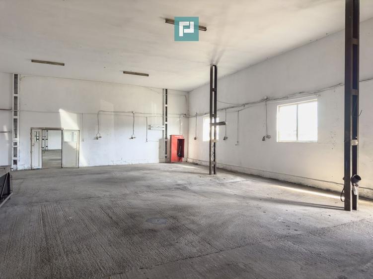 Teren intravilan 6.555 mp cu hală industrială