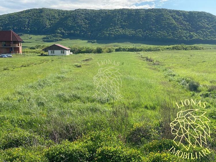 Teren intravilan-Crainimat -3000mp-ideal investitie construire casa