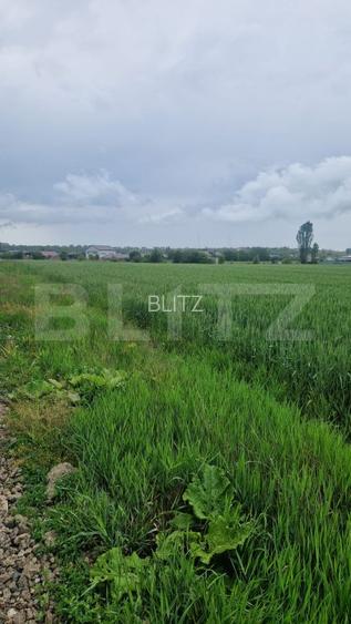 Teren pentru casa intravilan , 800 mp deschidere la drum Bod - 4
