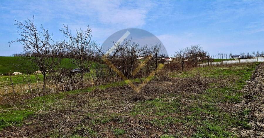 Teren INTRAVILAN pe malul Lacului Moara Domneasca Ganeasa deschidere la apa