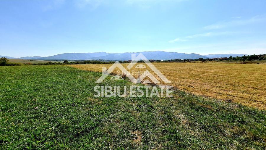 Teren cu vedere panoramica Intrare in Cisnadie 2325 mp deschidere 25ml - 4