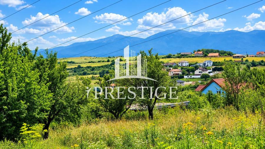 TEREN INTRAVILAN DE VÂNZARE | DAIA NOUĂ | 960 MP | PENTRU CASĂ - 2