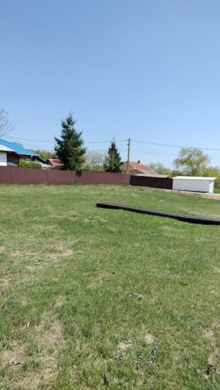 Teren extravilan 7.200 mp Bordea - Grajduri/ Oportunitate Investiție