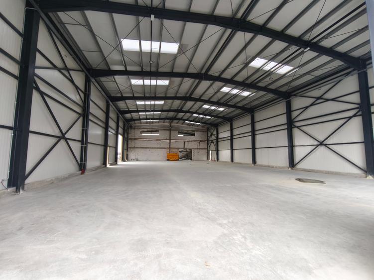 Hala cu Showroom Ghiroda 570 mp