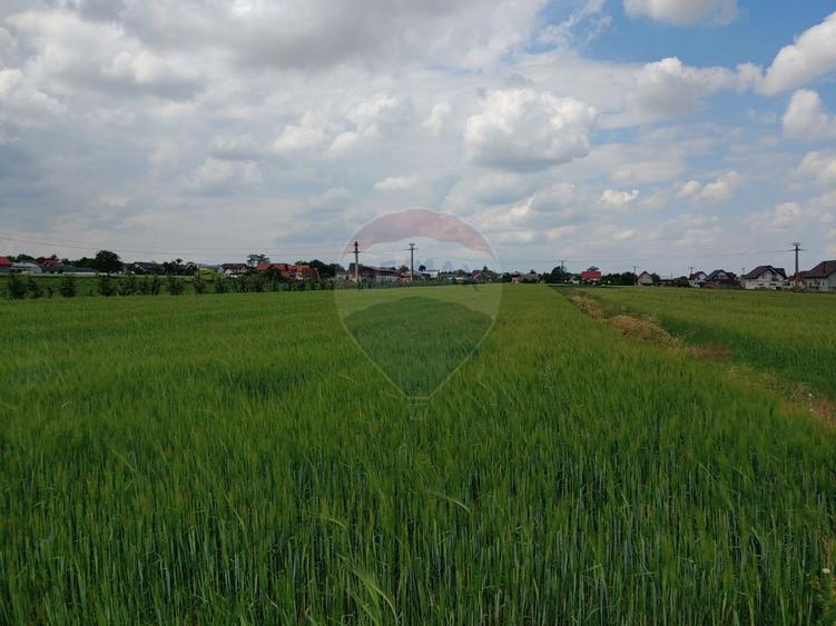 Teren intravilan 6,600mp Dumbraveni / Strada Principala spre Veresti