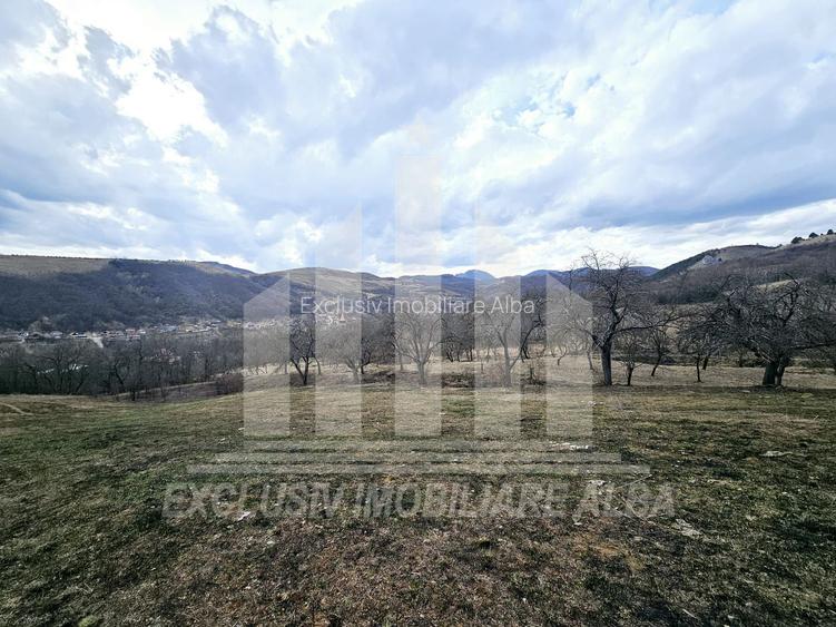 Teren intravilan | De vanzare | 12211 mp | Geogiu de Sus - 2