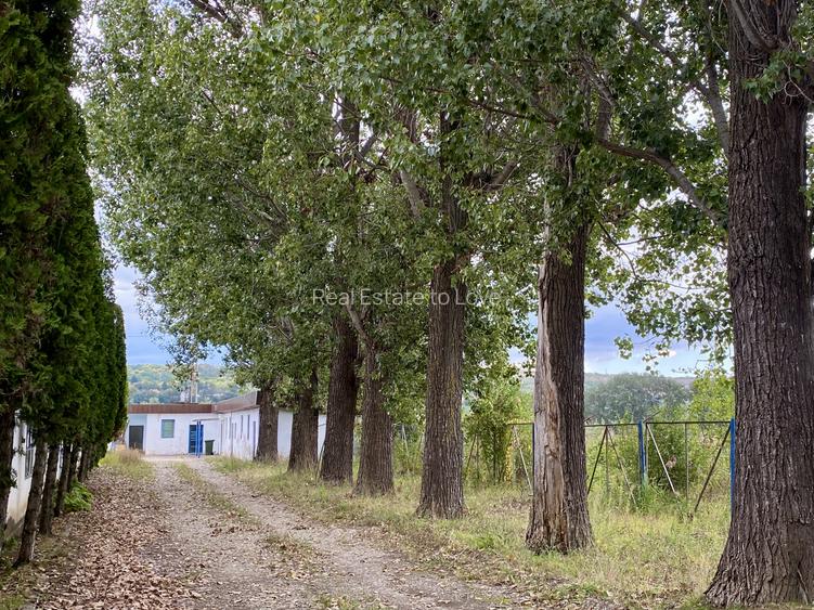 Spațiu Industrial, Logistic 2.500 mp, Teren 6.500 mp, Acces TIR, A7 Buzau