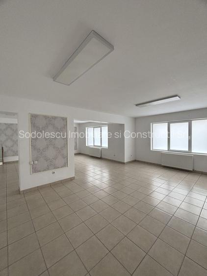 Spațiu zona Mehala - 8
