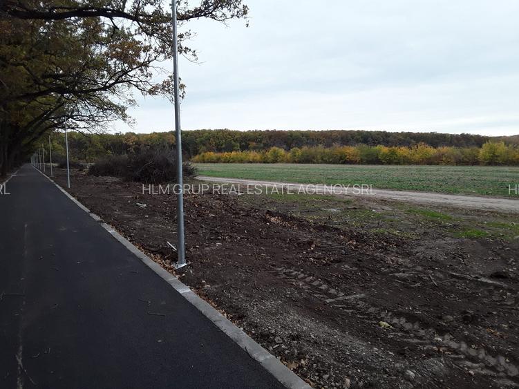 PROPRIETAR-TEREN 570 mp - Calul Balan/LAC/ PADURE/Buftea(loturi) - 3