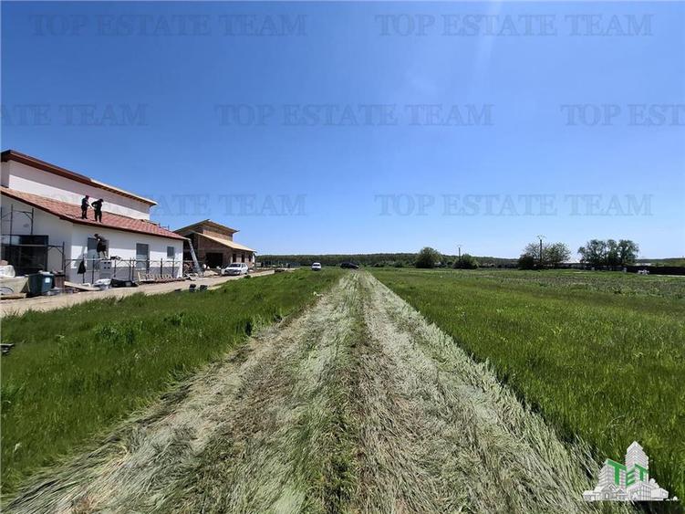 For Sale Case Individuale Snagov-Ghermanesti/In apropierea Padurii/Loturi 500 mp