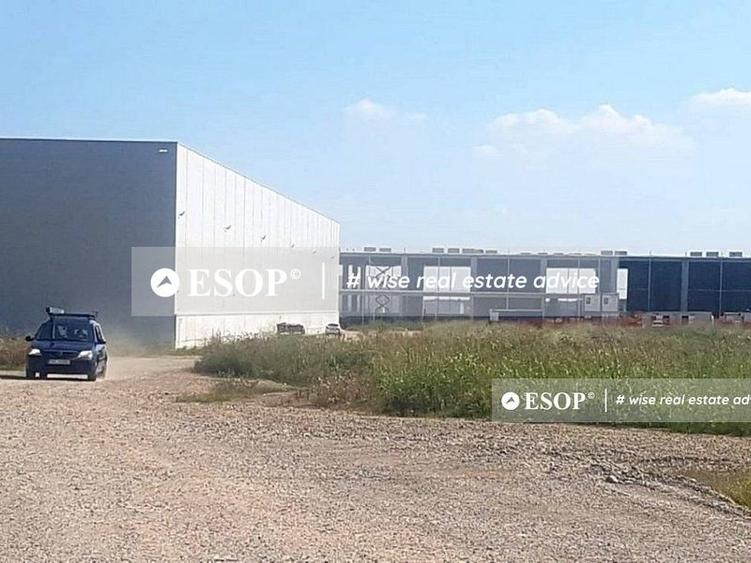 WDP Industrial Park Paulesti, hale de inchiriat, 2.500 - 14.150 mp