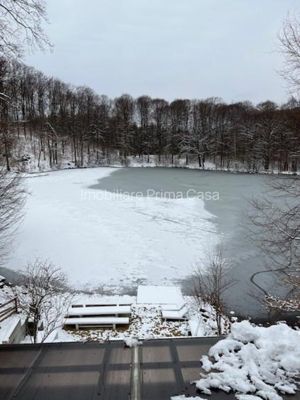 LAC MOGOSA, vila D+P+E+M cu 3ari teren! - 4