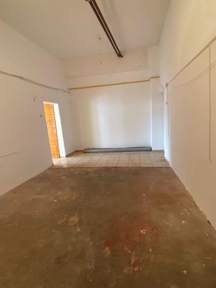 Spatiu comercial, 93 mp, Rovine