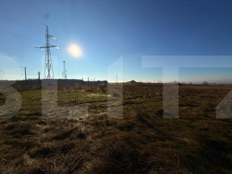 Teren extravilan, 7.000 mp, cu deschidere la drumul principal, Baisa