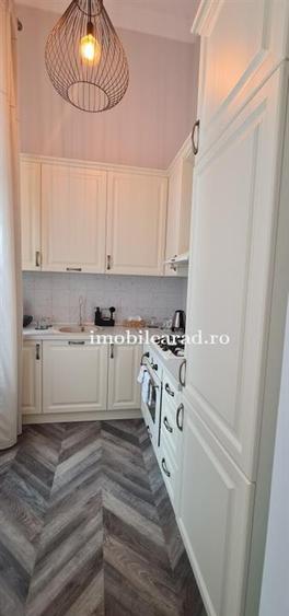 Apartament in stil unic, langa Primaria Arad, amenajat cu designer, mobilat/dota