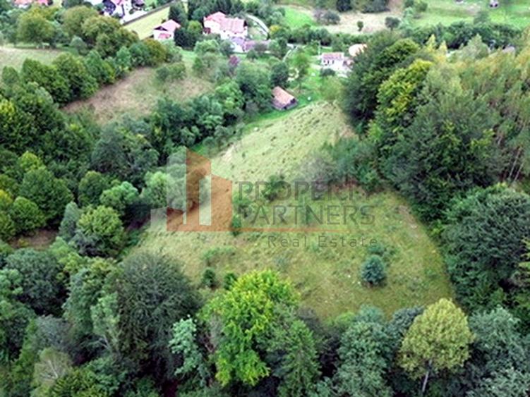 Teren de investiție în Moieciu, lângă Castelul Bran – 11.381 mp, vedere Bucegi
