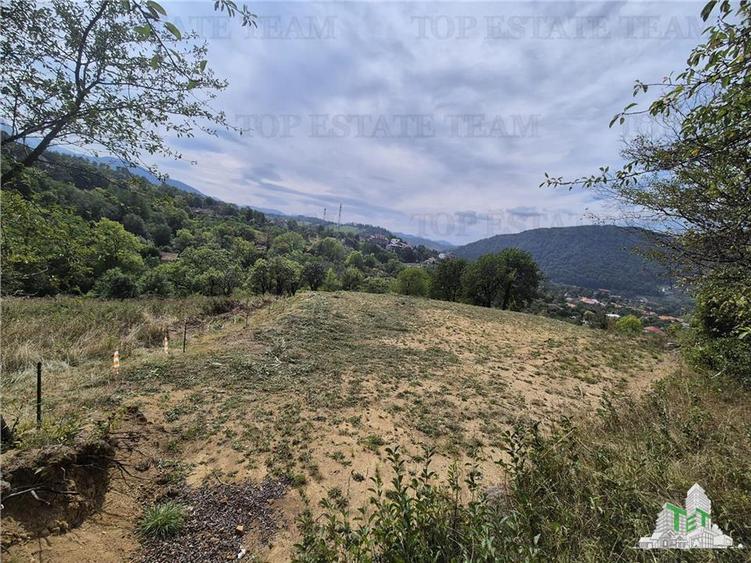 Teren intravilan pentru investitie turistica, 4000 mp, langa Club Vila Bran cu p