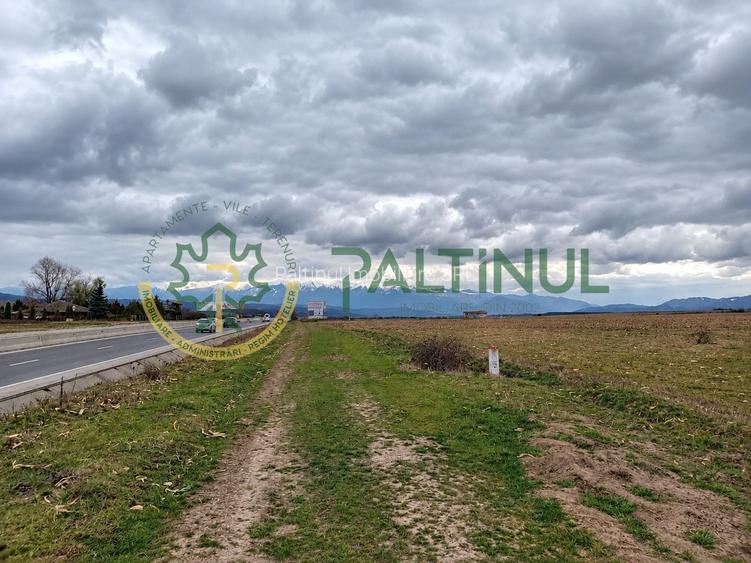 Teren de vanzare, 4.000 MP, Șelimbar, Zona Ion Art, investitie - 2