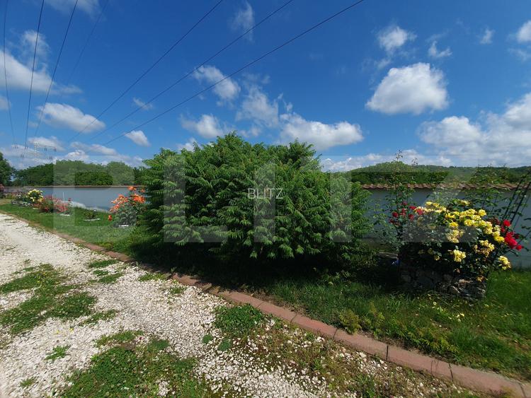 Vilă cu 5 camere, 280 mp, livadă pe rod, zona Valea Voievozilor - 11
