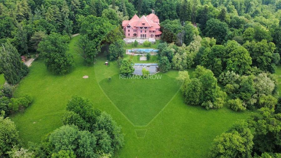 Palatul Stirbei - Darmanesti - 15