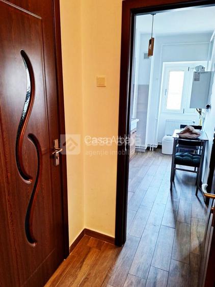 Pacurari - apartament cu 1 camera, PET FRIENDLY - 43