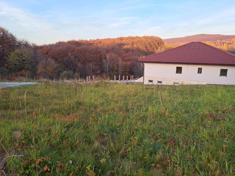 Teren de vânzare 1000 mp – Sălicea, Ciurila (doar 15 minute de Cluj-Napoca)