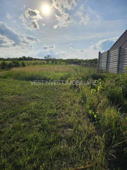 Casa Zona Doja langa Hanul Pescarilor 1500 mp teren - 7