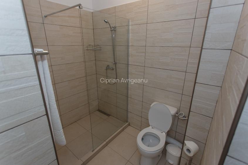 apartament 2 camere bloc Stefan Building Lake - 7