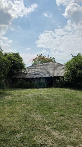 Domeniu rural, gospodarie/multifunctionala cu casa, livada, vie - 27